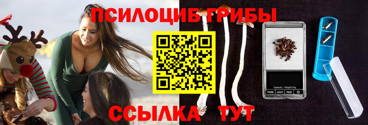 Ликино-Дулёво  Псилоцибиновые грибы мицелий  Вход с VPN 