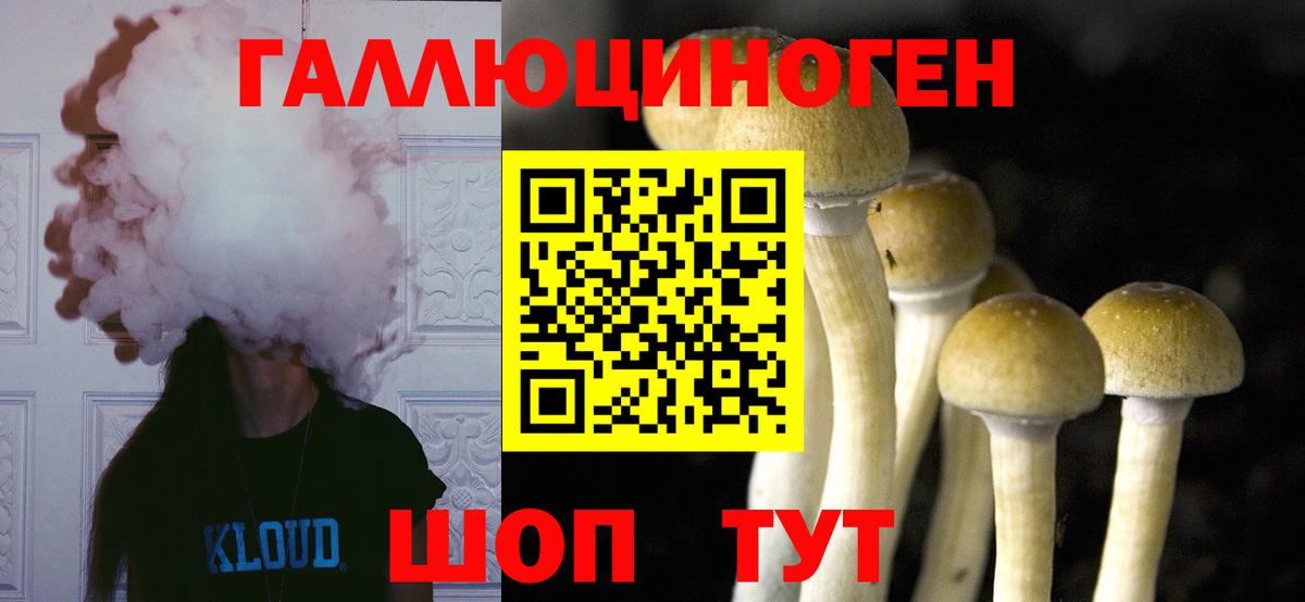 Псилоцибиновые грибы MAGIC MUSHROOMS Ликино-Дулёво